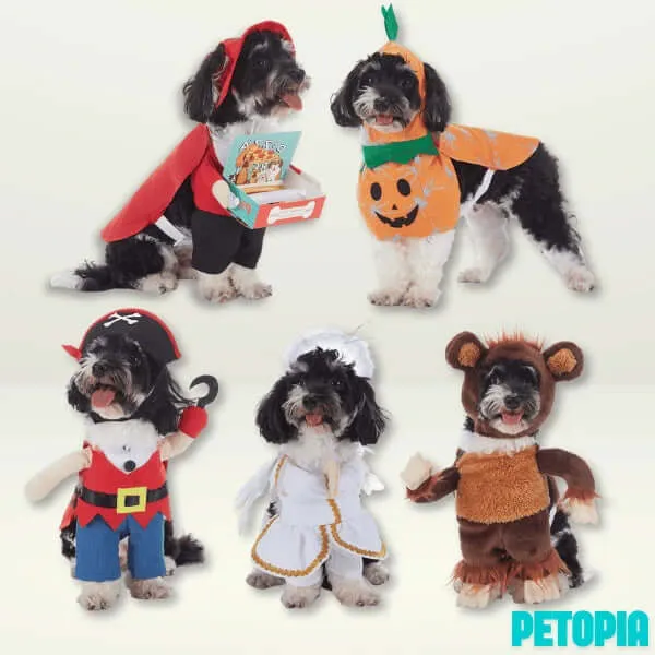 Halloween Dog Costumes - Plaid Thug