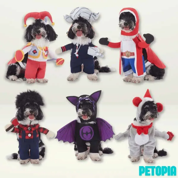 Halloween Dog Costumes - Plaid Thug